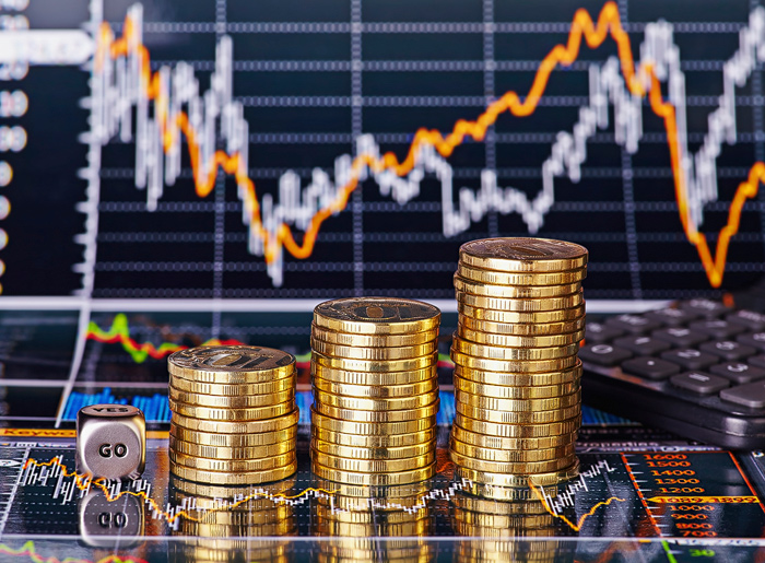 Vertretung institutioneller Investoren in Kapitalanlagesachen