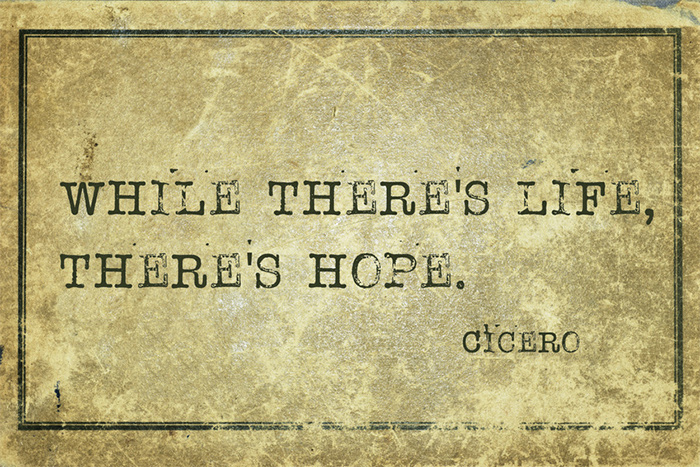 Wirtschaftsstrafsachen